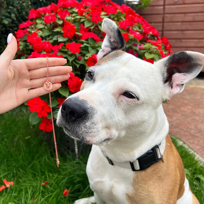 Collar personalizado con imagen de mascota