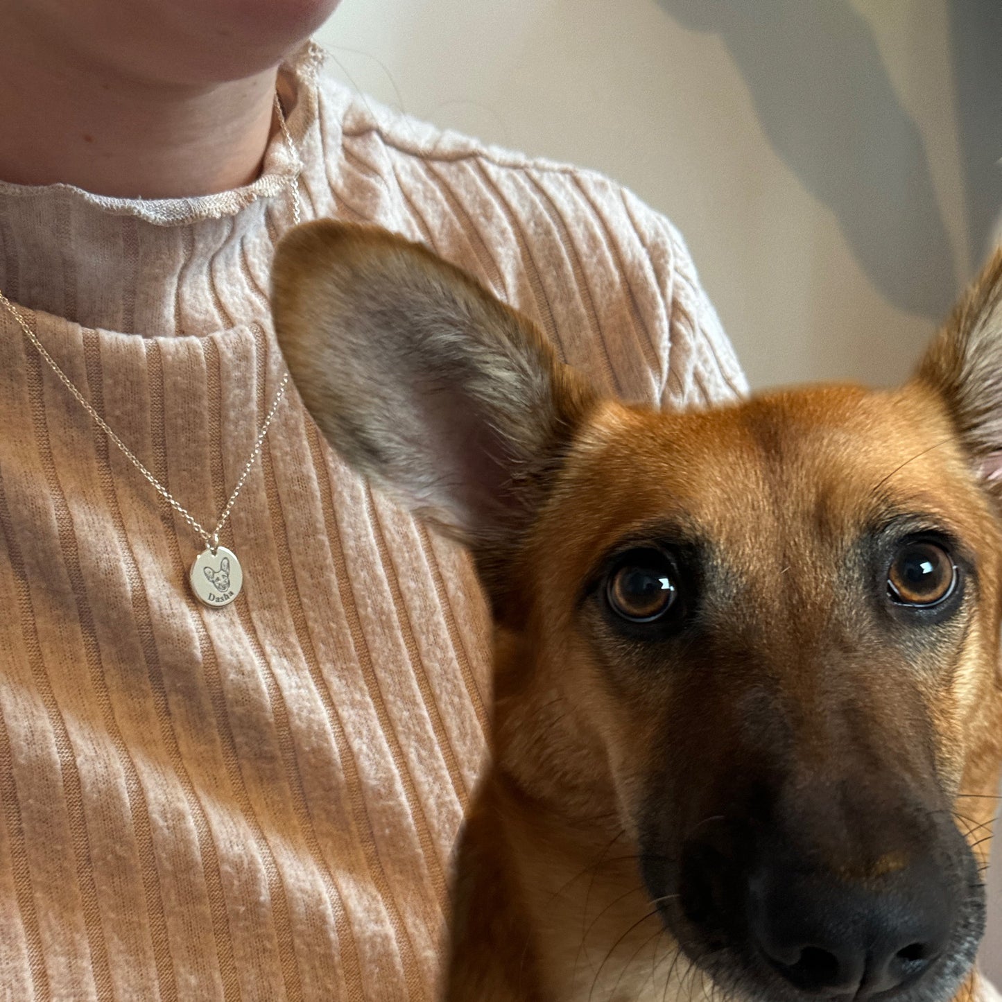 Collar personalizado con imagen de mascota