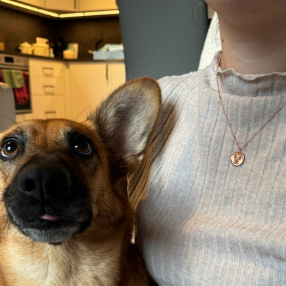 Collar personalizado con imagen de mascota